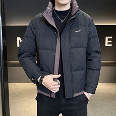 标50白鸭绒轻薄款男装羽绒服2025新款冬季外套C317-Y8566-P175，男装羽绒服，电商C317