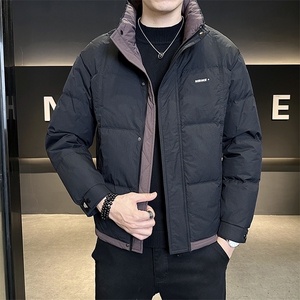标50白鸭绒轻薄款男装羽绒服2025新款冬季外套C317-Y8566-P175图片