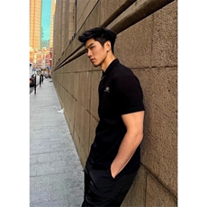 网图现货夏季美式复古翻领POLO衫男T9001/特P30，男装T恤，星座205-3