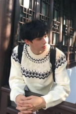 网图秋冬穿搭设计感提花圆领软糯毛衣男针织衫宽松上衣-A2351P52，男装针织衫/毛衣，电商B241