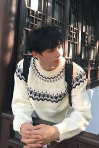 网图 秋冬穿搭设计感提花圆领软糯毛衣男针织衫宽松上衣-A2351P52图片