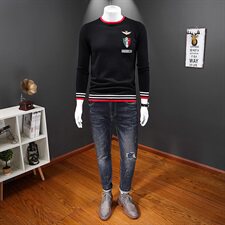 2020新品羊毛衫男士刺绣针织毛衣QT7112008P110假模冬季款，男装针织衫/毛衣，钱塘6066（原711）