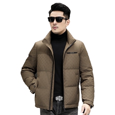 B8016钱塘2020-3新款时尚休闲冬季厚款简约中年男士羽绒服P228，男装羽绒服，钱塘207-3