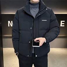 标50绒立领男士羽绒服冬季2025新款加厚冬装外套A313-3318-P205，男装羽绒服，电商A313