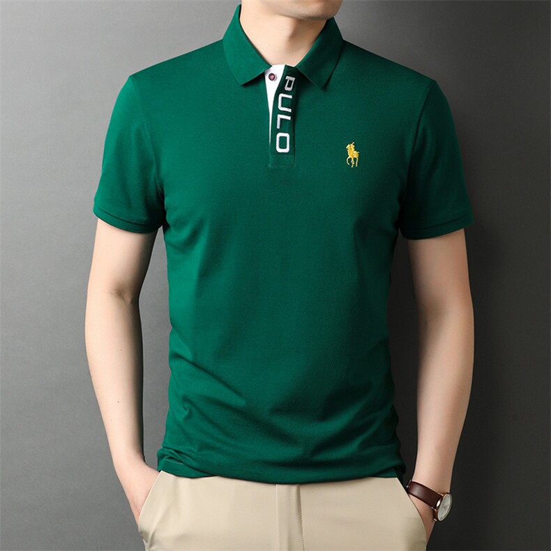 夏季新款男士翻领短袖t恤中年有领男装上衣服休闲POLO衫,男装T恤,电商B212（原钱塘6029）