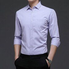 春秋季新款男士长袖衬衫休闲爸爸春装条纹衬衣无痕中年打底寸衫，男装衬衫，电商B212（原钱塘6029）