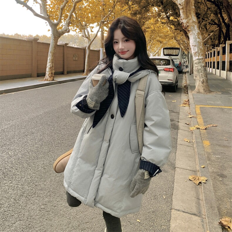 2026新款羽绒服帽子脱卸90白鸭绒2C053款号858批355控538,女装羽绒服,2C053