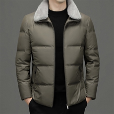 BH2222钱塘2020-2中年男士秋冬季新款时尚休闲简约羽绒服P185，男装羽绒服，钱塘207-2
