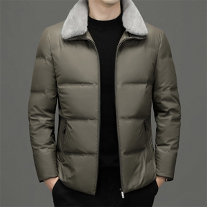 BH2222钱塘2020-2中年男士秋冬季新款时尚休闲简约羽绒服P185图片