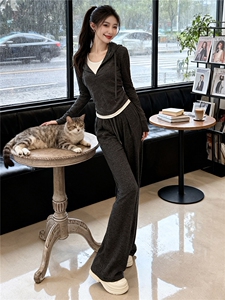 小众设计女春新款时尚洋气撞色拼接假两件连帽上衣高腰阔腿裤套装图片