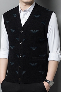 AFLM603钱塘2020-3中老年商务休闲简约百搭秋装新款背心马甲P75图片