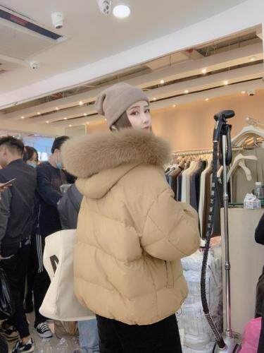 现货冬季韩版面包羽绒带毛领，女装，涵美人