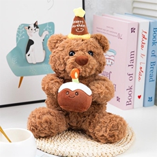 童话毛绒 生日蛋糕熊（百个起售）