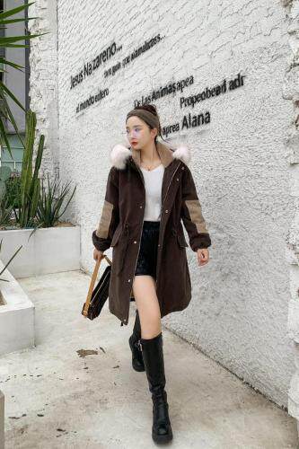 新款派克服，女装，菲特佳人