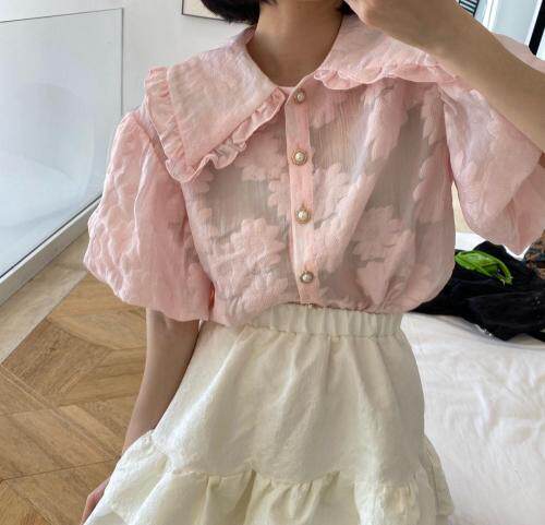 ceelphy CEELPHY116790