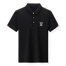 男士短袖T恤套装夏季新款潮流时尚休闲圆领套装宽松体恤中年男装，男装休闲套装，电商B212（原钱塘6029）