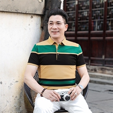 polo衫中年商务休闲男装夏季新款男士短袖T恤半袖翻领宽松上衣服，男装Polo衫，电商B212（原钱塘6029）