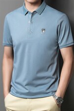 短袖T恤男士上衣POLO衫夏季新款中青年男士翻领纯色商务休闲男装，男装T恤，电商B212（原钱塘6029）