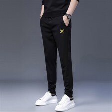 S9373钱塘2020-2中青年男士秋季薄款帅气潮流长款卫裤主推款P72，男装休闲裤，钱塘207-2