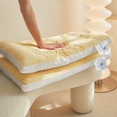 新款云柔绒感枕头枕芯，枕套/枕芯，一起卖家纺