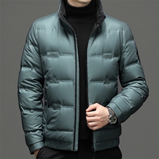 DF22605钱塘2020-2新款冬季时尚休闲简约中年男士羽绒服P245，男装羽绒服，钱塘207-2