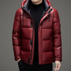 羽绒服男冬季加厚极寒外套2026新款高端男士短款中老年爸爸装亮色，男装羽绒服，电商B212（原钱塘6029）