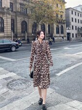 春款爆，其它，阿爆