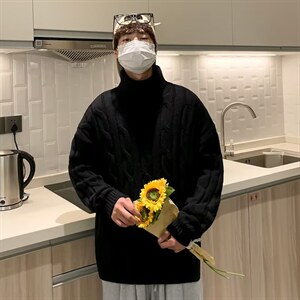 高领毛衣男秋冬加厚麻花针织衫ins潮流痞帅宽松打底线衣YM006-P45图片