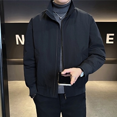 标90绒立领男士羽绒服冬季2025新款休闲外套A313-26021-P245，男装羽绒服，电商A313