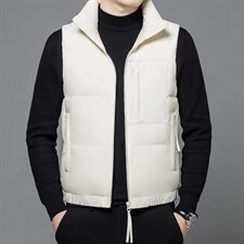 2023年休闲时尚高端男士羽绒服马甲P355，男装羽绒服，电商D223-1
