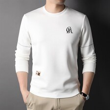 新款卫衣男潮流免烫男士长袖t恤春秋薄款刺绣圆领打底小衫，男装卫衣，电商B212（原钱塘6029）