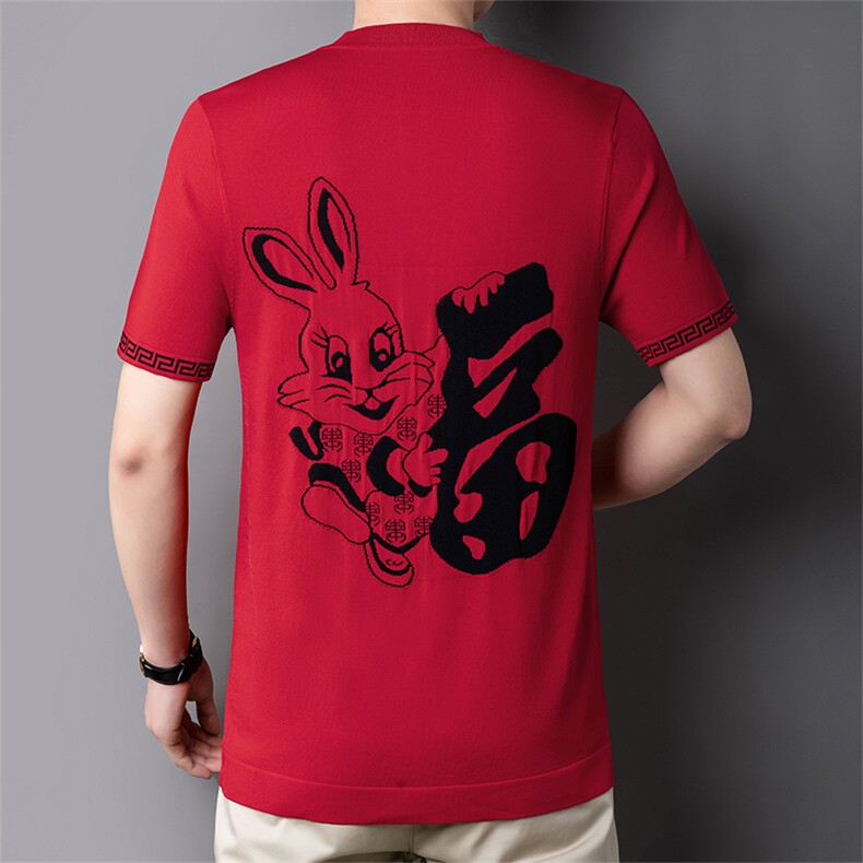 男士短袖t恤时尚休闲夏天宽松2023夏季新款中年打底衫上衣服体恤,男装T恤,电商B212（原钱塘6029）