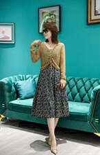 秋装两件套连衣裙，女装连衣裙，雪飞诗