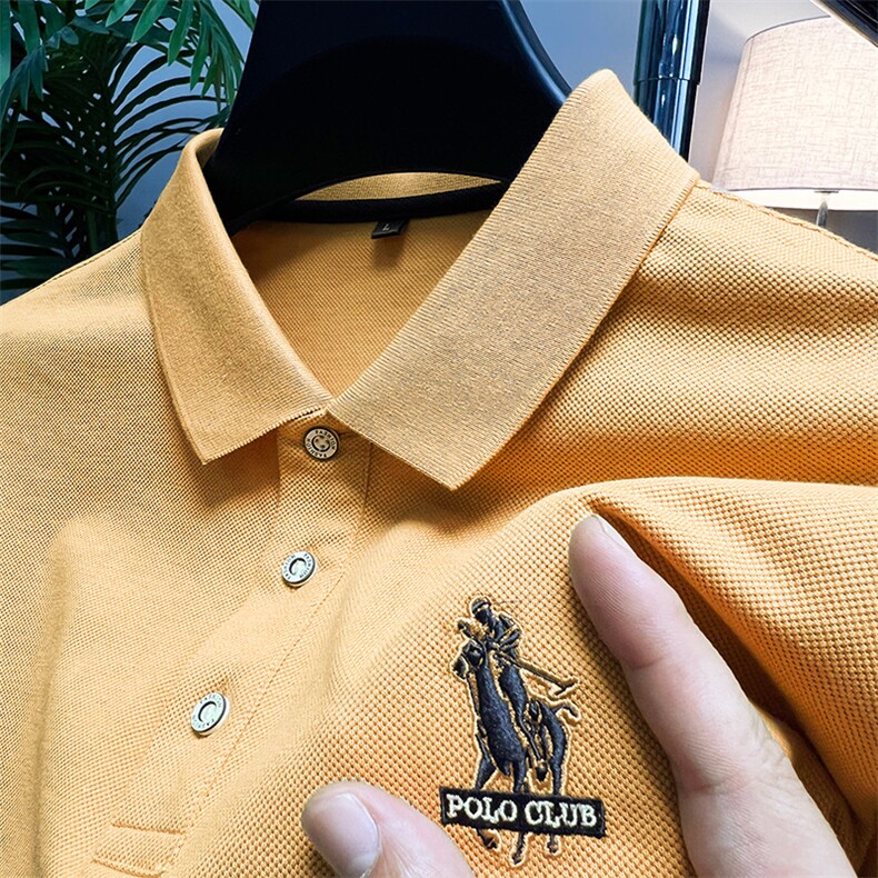 男装夏季新款保罗polo衫男短袖翻领美式商务带领半袖t恤男士薄款，男装Polo衫，电商B212（原钱塘6029）