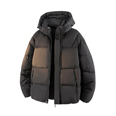 潮流宽松休闲棉衣潮牌高街棉服A161-9893-P100，男装棉衣，电商A161