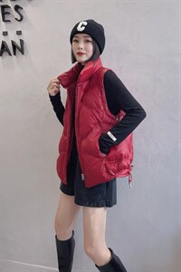 羽绒马甲图片