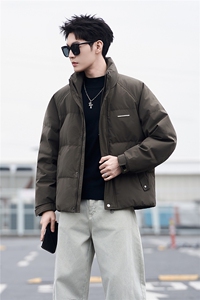 标50绒立领男士羽绒服冬季2025新款加厚冬装外套A313-3318-P205图片