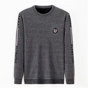 冬季新款男长袖时尚上衣中青年男装圆领加绒卫衣XX21904-P110,男装卫衣,电商B212（原钱塘6029）