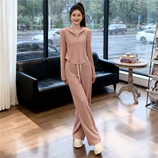 女春季新款休闲运动套装时尚洋气显瘦连帽长袖卫衣阔腿长裤两件套，女装套装/套裙，2C310