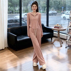 女春季新款休闲运动套装时尚洋气显瘦连帽长袖卫衣阔腿长裤两件套图片