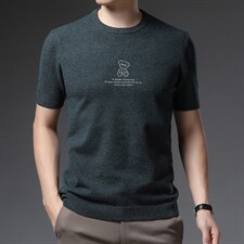 BSS6051男式2023年初秋短袖针织t恤青年圆领时尚体恤P52图片