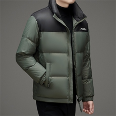 DAJ823-6钱塘2020-2冬季厚款时尚休闲立领中年男士羽绒服P210，男装羽绒服，钱塘207-2