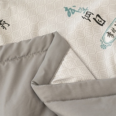 新款A类水洗泡泡棉夏被空调被被子被芯，被套/被芯，一起卖家纺