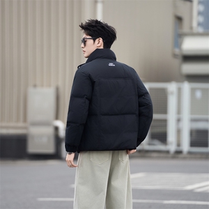 37868-M-3XL-P205标50绒社会小伙纯色百搭休闲立领鸭绒羽绒服男图片