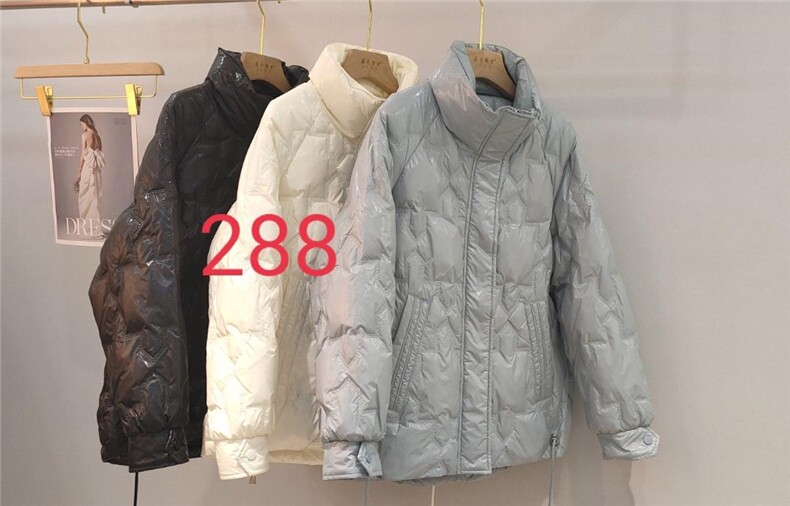 嘉乐馨秀(4F) JLXX4F130922