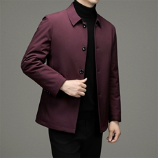 DZ2269钱塘2020-3冬季厚款商务休闲简约翻领中年男士羽绒服P142，男装羽绒服，钱塘207-3
