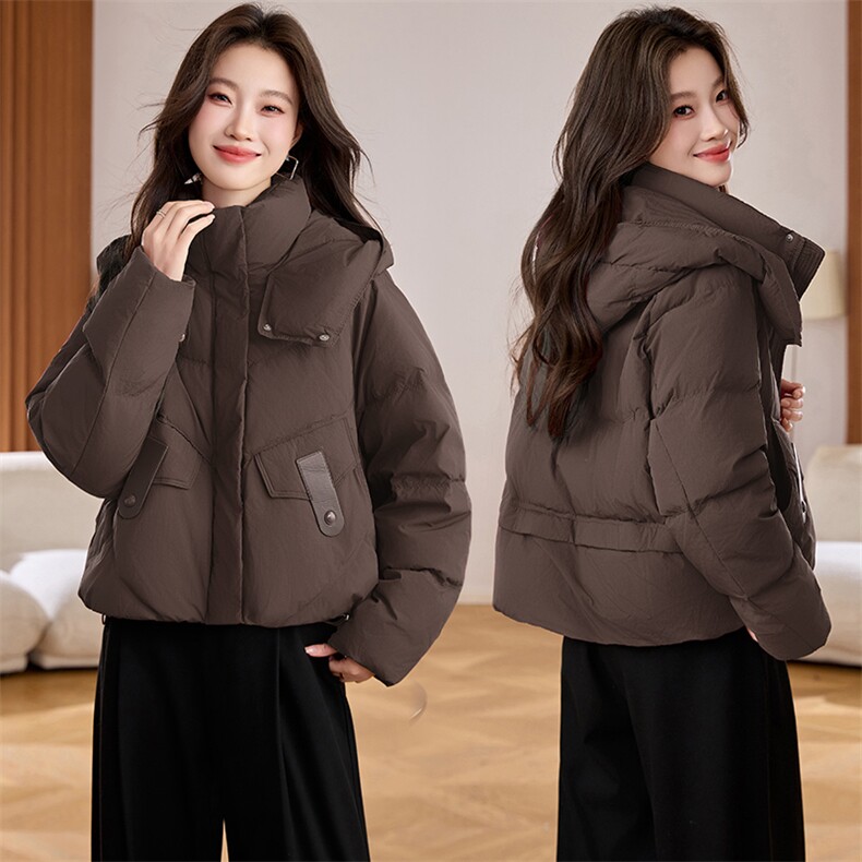 2025冬季新款简约时尚连帽羽绒服,女装羽绒服,阿丹