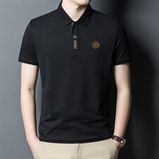 POLO衫男士短袖t恤翻领2023夏季新款潮牌休闲商务男装上衣，男装T恤，电商B212（原钱塘6029）