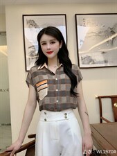2022夏季新品女装时尚修身显瘦气质高雅格子上衣，其它，婉伦