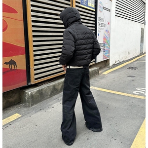 个性斜拉链连帽短款修身棉服610A-1-L8501-P74图片